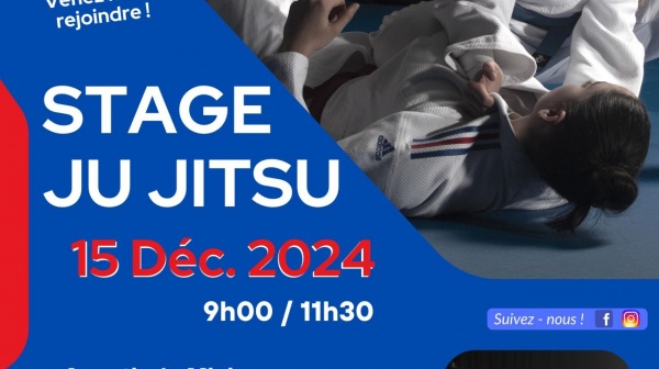 Stage Jujitsu 15 décembre 2024